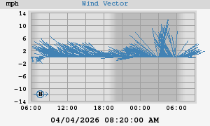 Wind Vector